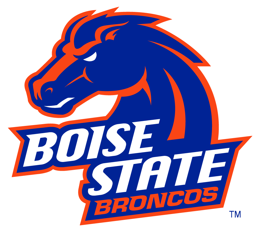 Boise State Broncos 2002-2012 Secondary Logo v29 t shirts iron on transfers